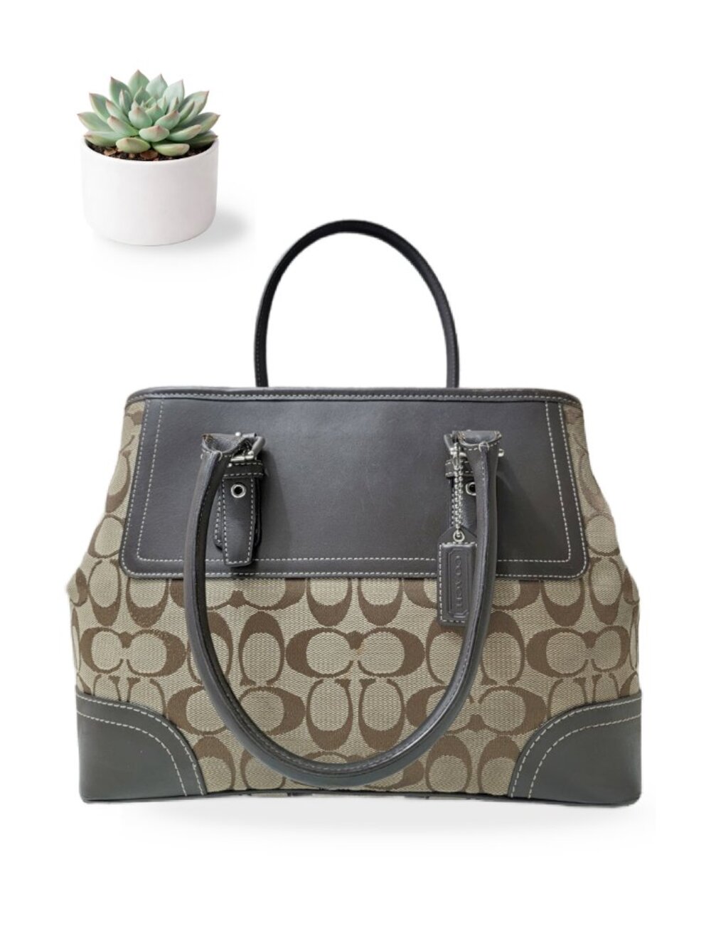 Coach Hampton Tote Bag Signature Carryall Khaki Brown Leather 11220 Purse